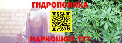 шишки Ликино-Дулёво